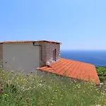 Studio Sveta Nedilja 8792A