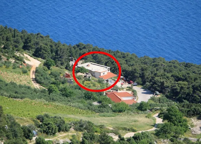 Studio Sveta Nedilja 8792A